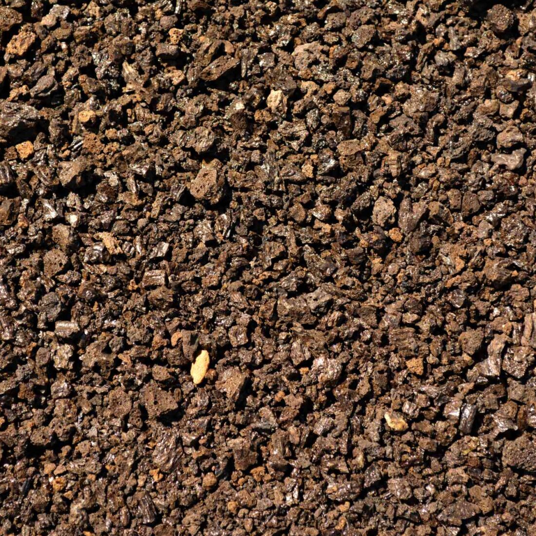 ermelinda-martin-Bu_9GlQe8uI-unsplash